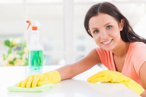 Domestic cleaning services for a home in Haringey