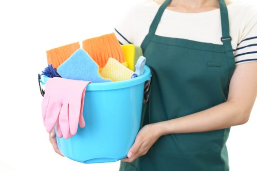 Cleaner service for homes and flats in Haringey
