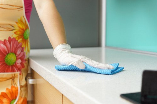 Range cooker deep cleaning service for a Haringey household