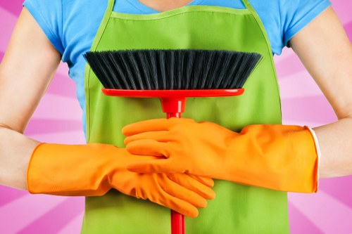 Careful exterior cleaning for a residential property in Haringey