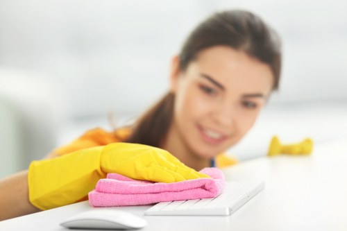 Domestic cleaner working in a Haringey kitchen and living area