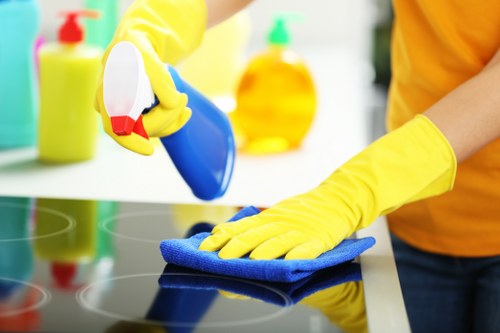 Kitchen oven restoration and hygiene improvement in Haringey