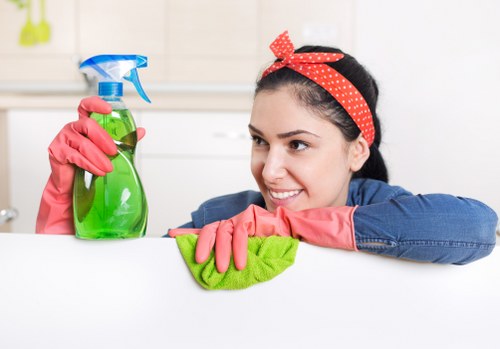 A local cleaner preparing a Haringey property for a thorough clean