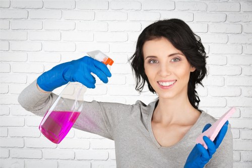 Risk assessment checks before cleaning a built-in oven
