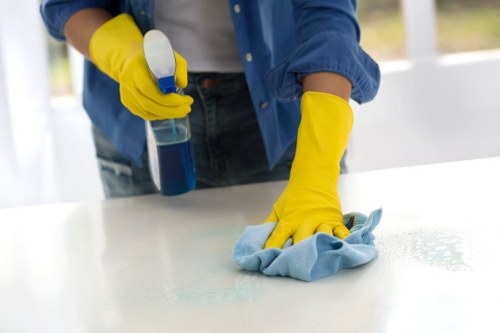 Inspection of an oven before cleaning begins