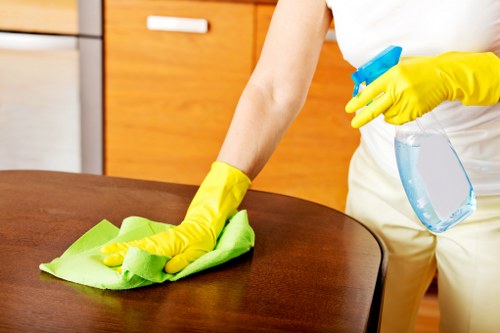 Deep cleaning support for a bathroom in Haringey home